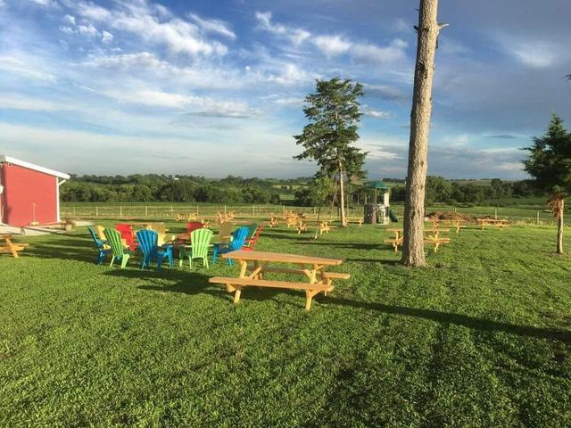 Bright adirondack chairs and a wooden picnic table on a sunny green lawn under blue sky