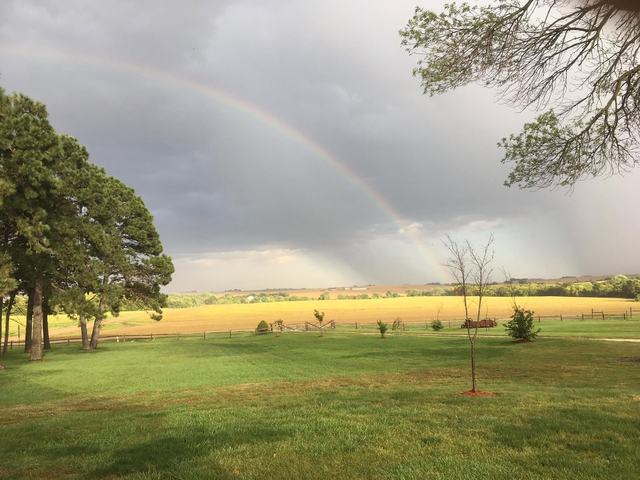 Bright rainbow arching over a green country field beside tall shade trees