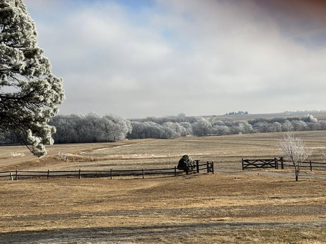 Frost-covered fields and a wooden gate under a cloudy winter sky with trees on the horizon